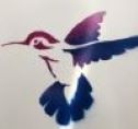 Humming Bird Original Art Photo